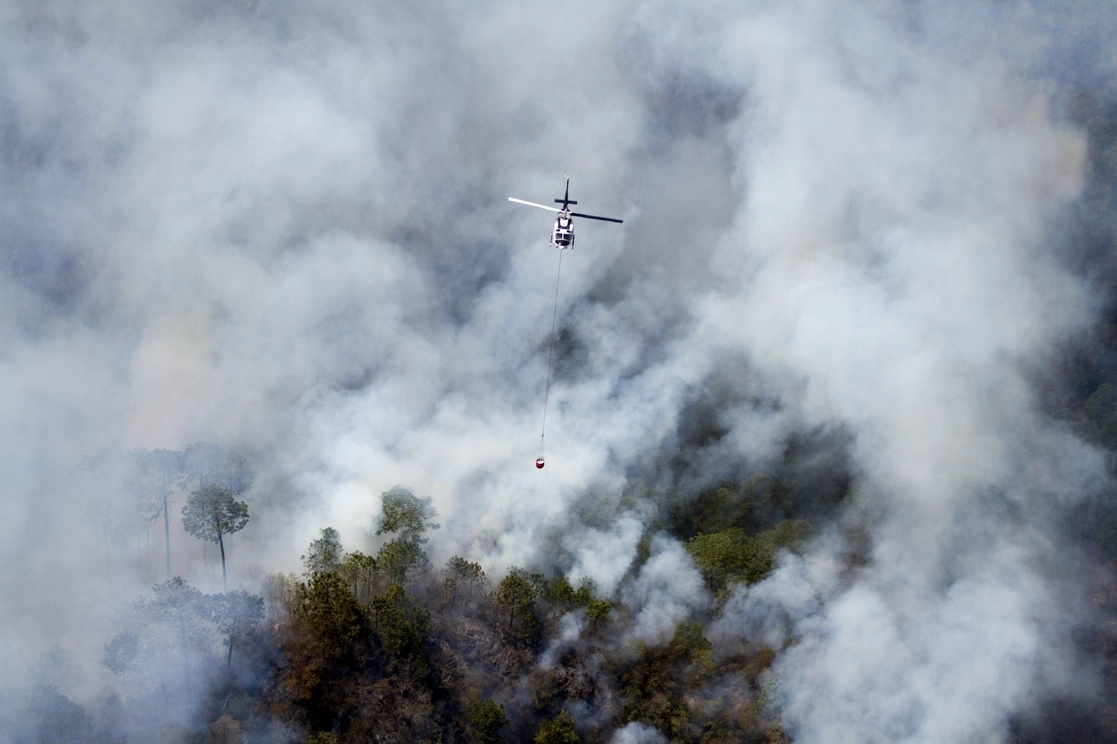 Apenas lograron controlar un incendio que tardó más de tres semanas en la Sierra de Santiago. Foto Cuartoscuro/ archivo