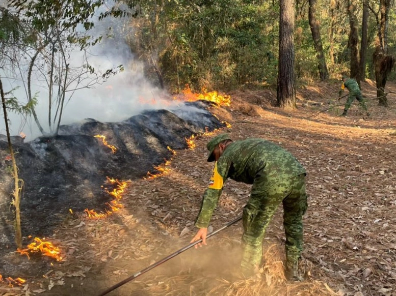 Dos de los incendios sucedieron en el municipio de Huitzilac, mismos que ya fueron controlados y liquidados por el personal del Mando Unificado de Incendios Forestales, integrado por la Secretaría de Desarrollo Sustentable. Imagen tomada del Twitter @SEDENAmx