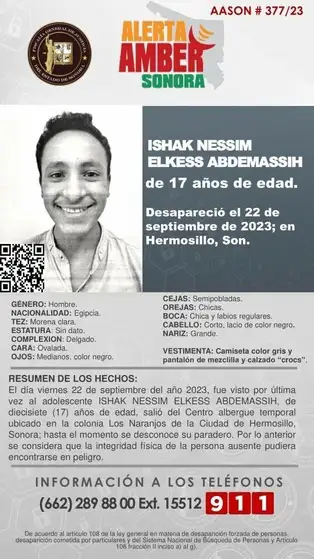 Ficha de búsqueda