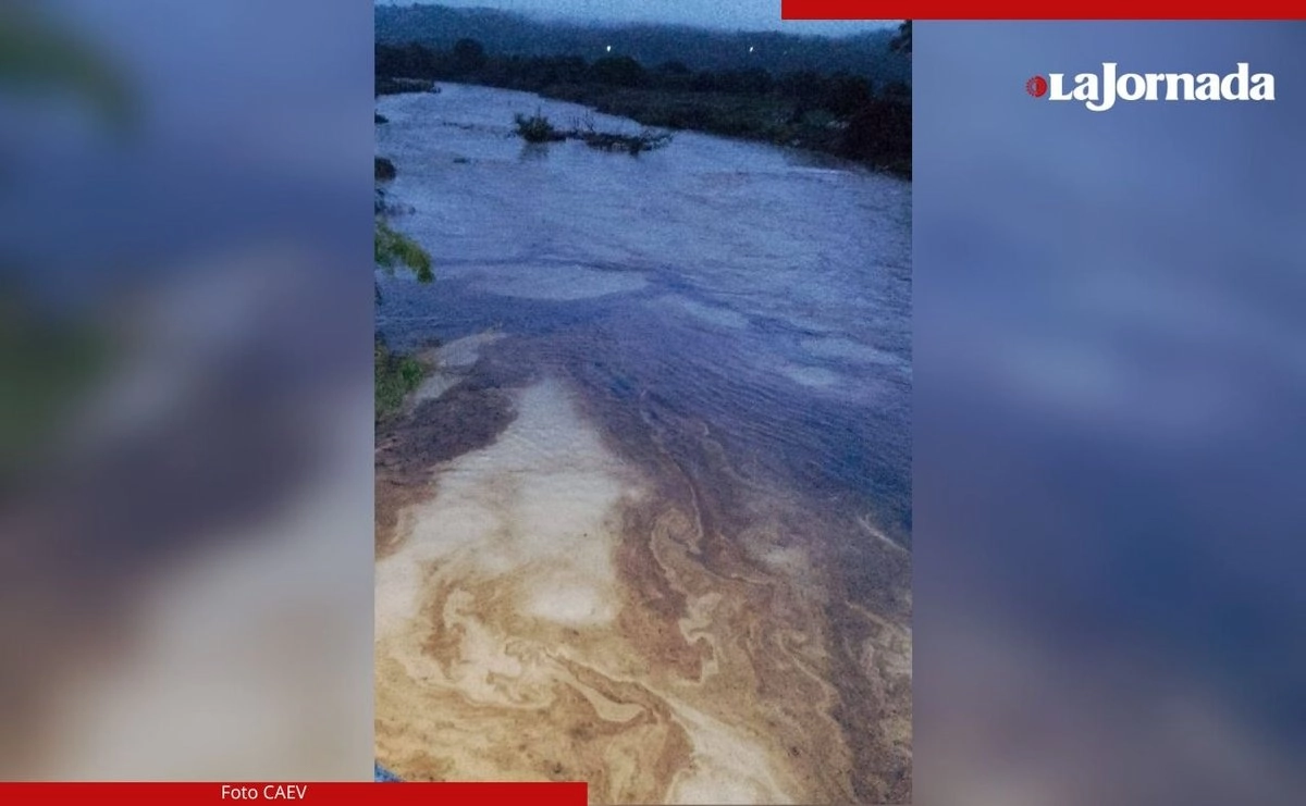 Hidrocarburo flotando en el río Cazones al norte de Veracruz; la CAEV investiga el origen de la fuga, el 28 de noviembre de 2025.  Foto 
