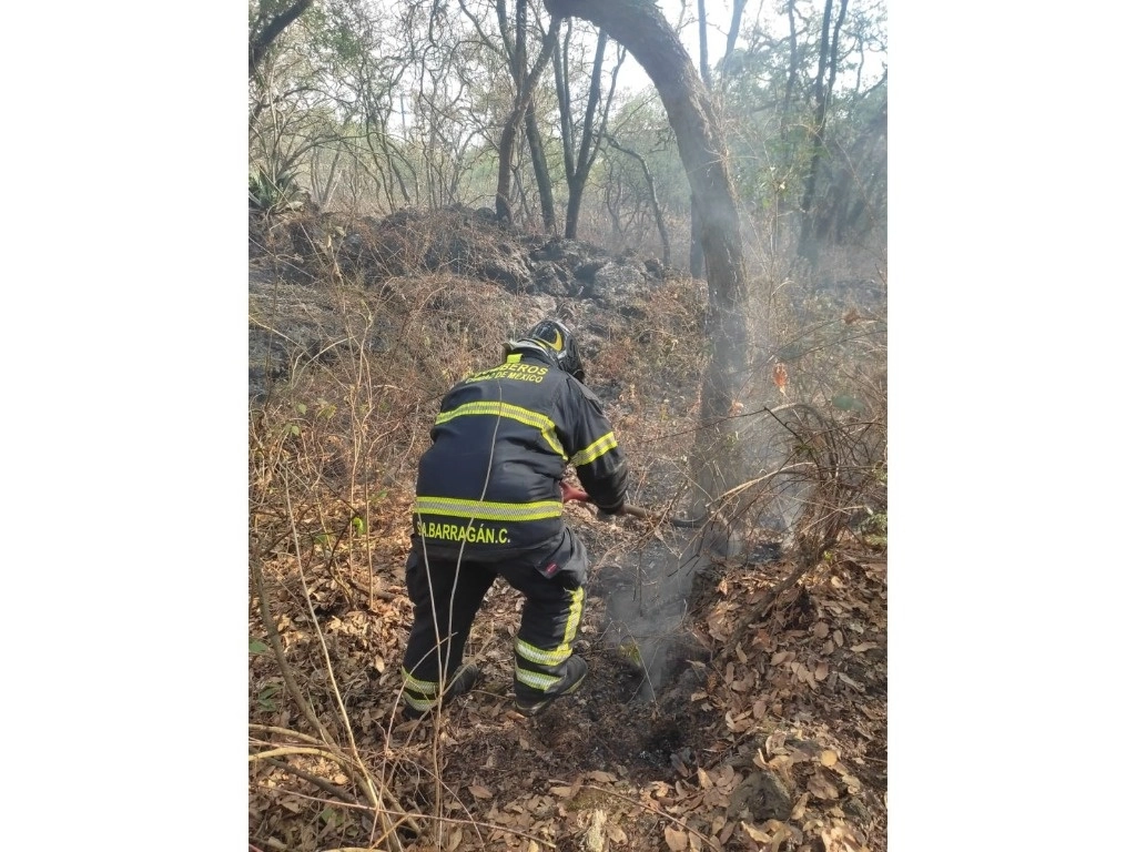 El Heroico Cuerpo de Bomberos labora en el Bosque de Tlalpan tras un reporte de incendio. Foto X @Bomberos_CDMX
