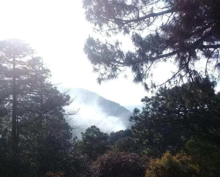 El humo llega hasta la carretera que une a Zimapán con el municipio de Jalaca. Foto La Jornada 