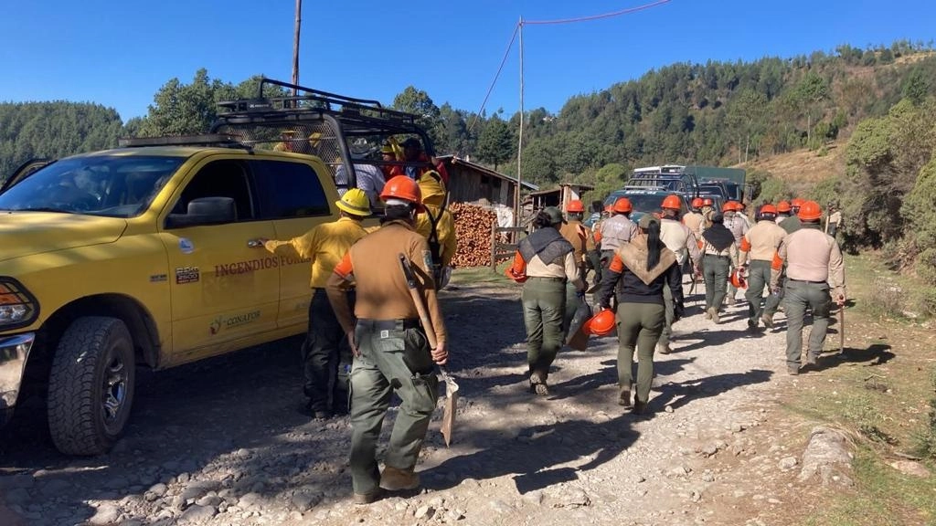 Brigadas atienden los incendios forostales registrados en Veracruz, el 16 de febrero de 2023. Foto tomada de Twitter @PCEstatalVer
