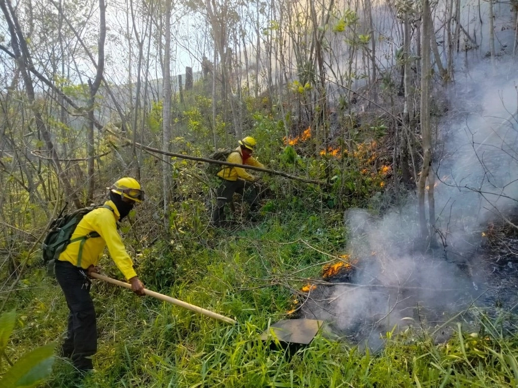Brigadistas combaten incendios forestales en la zona montañosa de Veracruz. Foto tomada de X @PCEstatalVer