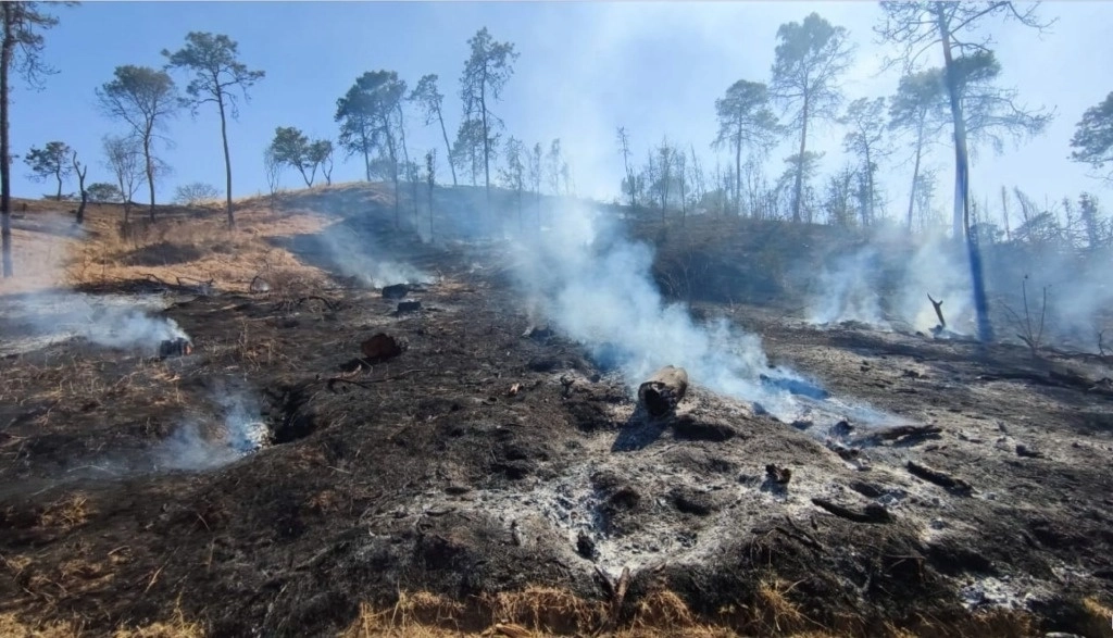 Incendios forestales en Morelia, Michoacán. Foto Cuartoscuro / Archivo