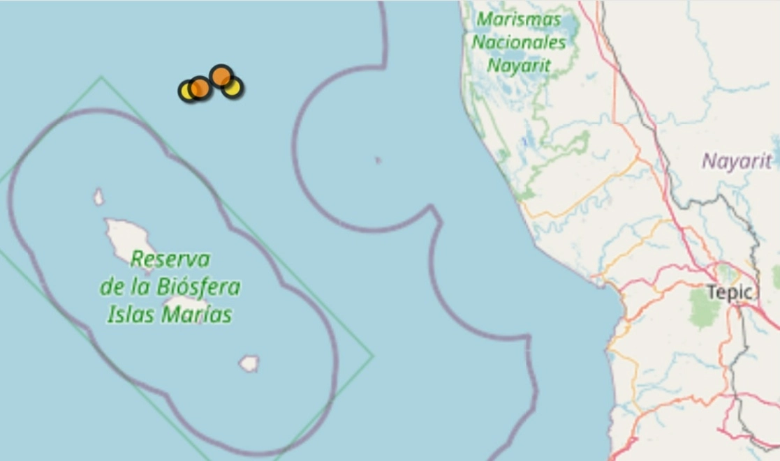 El sismo de magnitud 4.1 se registró a 104 kilómetros al suroeste de Tecuala, Nayarit. Foto SSN