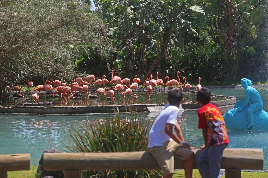 Niños visitan el  Zoológico de Guadalajara. Foto Cuartoscuro / Archivo