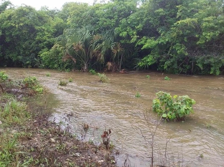 Inundaciones por las constantes lluvias en Yucatán. Foto cortesía Colectivo Maya Chenes
