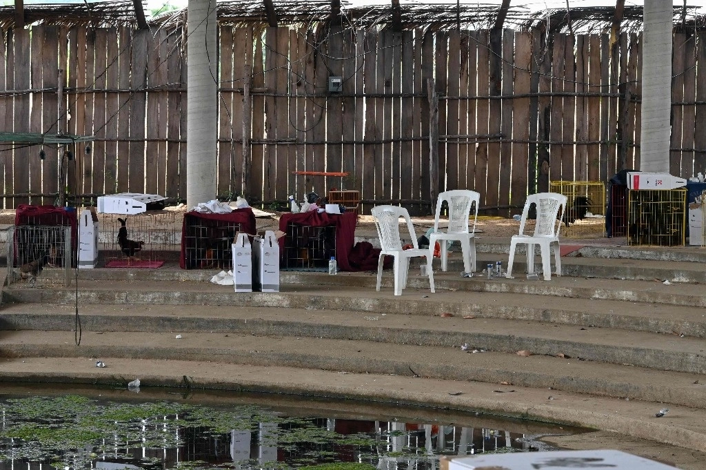 Vista del interior del palenque en Petatlán, Guerrero, un día después de que cinco personas murieran y 20 resultaran heridas en un ataque armado durante una pelea de gallos, el 7 de enero de 2024. Foto Afp