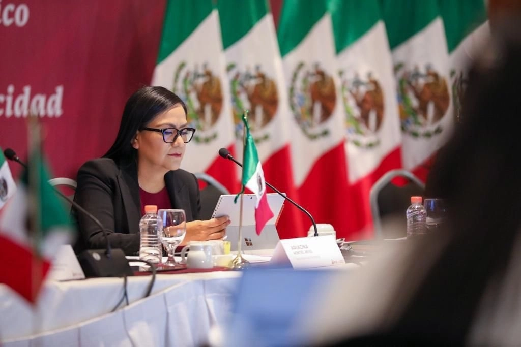 La titular de Bienestar, Ariadna Montiel durante la reunión virtual. Foto tomada de la cuenta de Twitter @A_MontielR