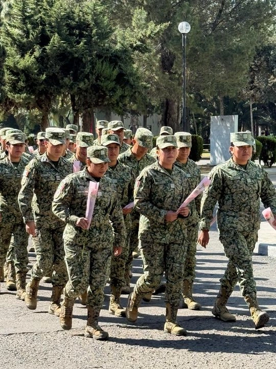 La presencia de la mujer en el Ejército Mexicano inició en 1938 con la apertura de la Escuela Militar de Enfermeras, y más adelante con las escuelas militar de Medicina, Odontología, Transmisiones, Ingenieros, el Heroico Colegio Militar y Colegio del Aire. 