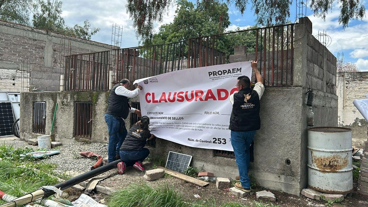 La FGJEM informó que se llevó a cabo un operativo derivado de una denuncia ciudadana mediante la cual se alertó que en una vivienda ubicada en la colonia Tablas del Pozo, donde se encontraban diversos animales en condiciones de maltrato.