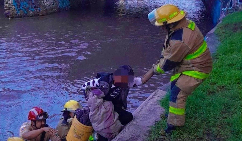 Personal de protección civil logró el rescate del hombre y los dos animales. Foto La Jornada