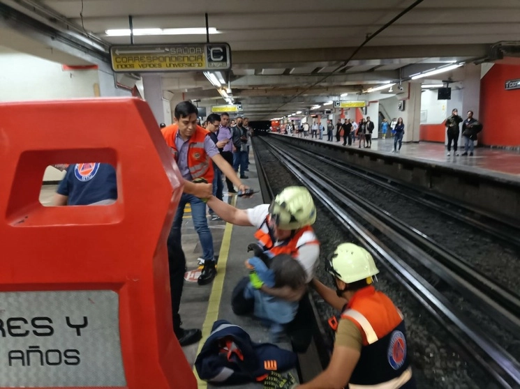 Tras el rescate de la gallina, la circulación de los trenes se reaundó de forma inmediata. Foto cortesía del Metro