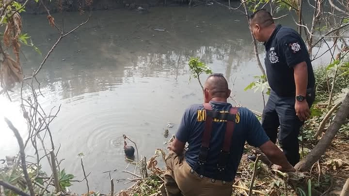 Personal de Protección Civil lo trasladó en ambulancia a servicios médicos, previamente se le aplicó una revisión para conocer su estado de salud y se le cubrió para evitar un cuadro de hipotermia.