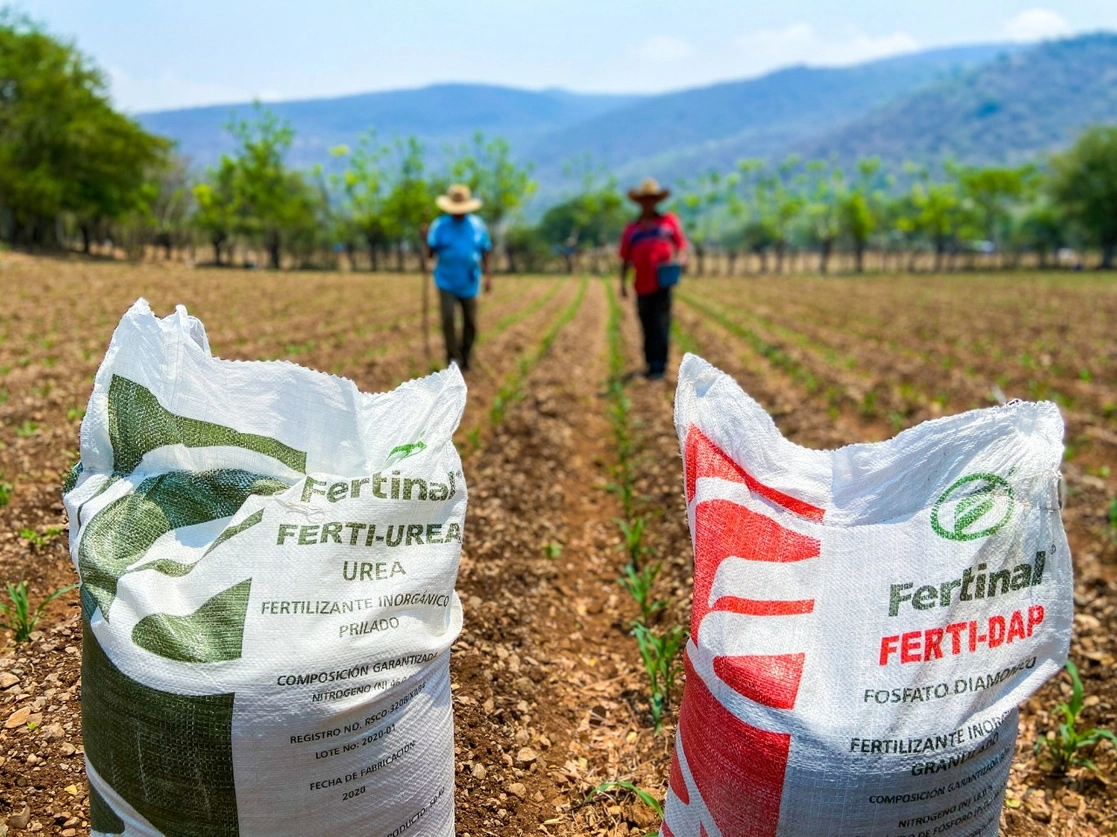 El incremento hasta en 300 por ciento del costo de los fertilizantes ha provocado el encarecimiento de productos como aguacate, limón, chile y maíz, señalaron organizaciones campesinas. Foto cortesía Secretaría de Agricultura y Desarrollo Rural 