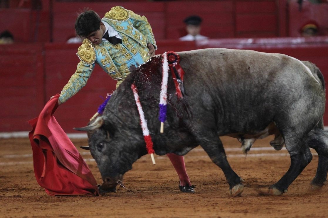 El proyecto de dictamen establece una sanción de hasta cuatro millones 929 mil cien pesos a quien maltrate, torture o prive de la vida a toros, novillos y becerros. Foto Cuartoscuro / Archivo 