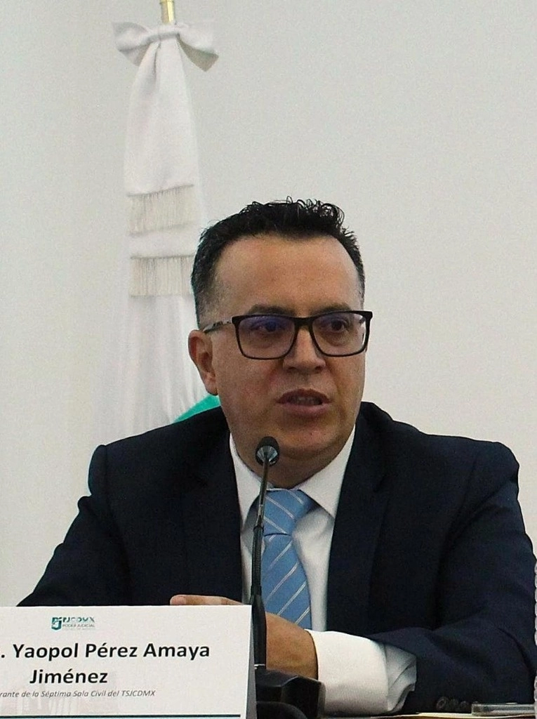 Explicó que, para mayor eficacia y eficiencia, los procesos civiles y familiares previstos en el Código inician con demanda y contestación que pueden ser de carácter escrito, y posteriormente vienen las audiencias de carácter oral. Foto PJCDMX