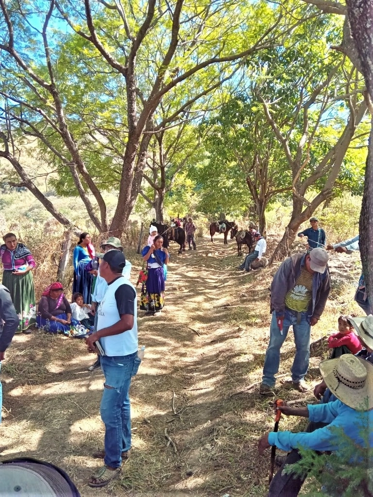 Un grupo de wixaritari llegó la mañana de este jueves a Huajimic para tomar posesión de tierras ancestrales que estaban en posesión de pequeños propietarios o ganaderos de ese poblado nayarita. La restitución se hizo de forma pacífica. Foto cortesía Carlos González García.