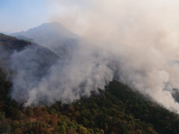 El incendio resurgió en las áreas forestales de Uruapan y Tuxpan. Foto Ernesto Martínez Elorriaga