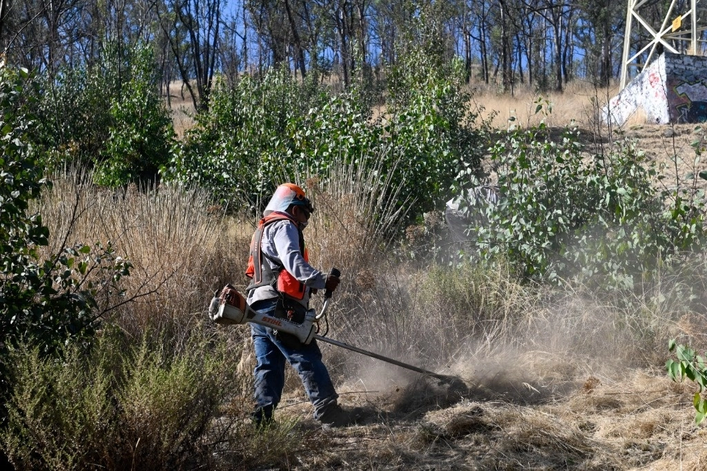 Durante el 2023, los incendios forestales afectaron 20 hectáreas del Cerro de Moctezuma y en las últimas dos semanas suman cinco incendios en el Parque Nacional de Los Remedios, además del reciente siniestro ocurrido en el vaso regulador El Cristo. Foto La Jornada      