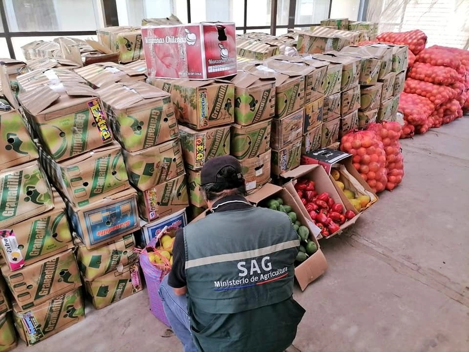 Inspector del Servicio Agrícola y Ganadero (SAG) de Chile. Foto tomada de facebook.com/SAGChile