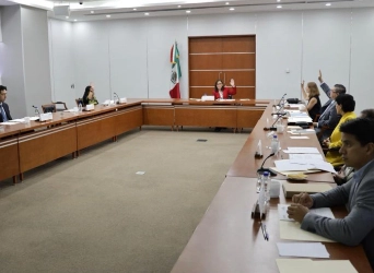 Durante la toma de protesta de Rocío Nahle al Consejo de Administración de Litio Para México. Foto Twitter @rocionahle
