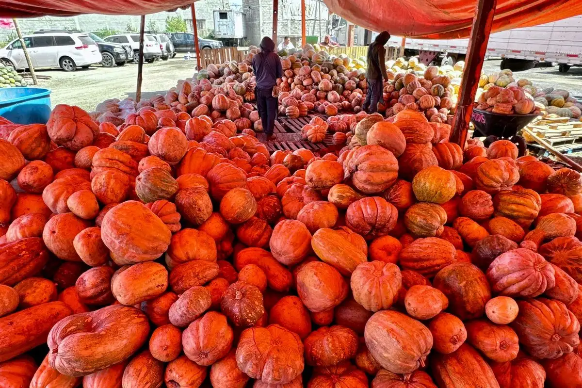 Venta de calabaza en la Central de Abasto de la CDMX. Foto