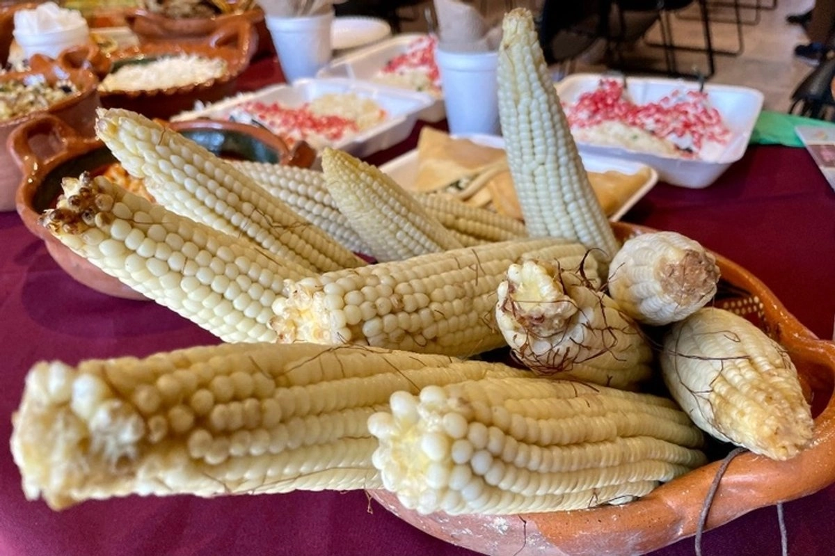 Mazorcas de maíz en imagen de archivo. Foto 