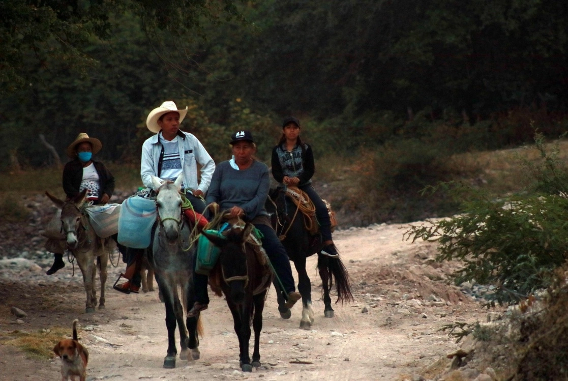 La Sader asegura que el campo de México necesita hacer uso de tecnologías pero sin comprometer al medio ambiente. Foto Cuartoscuro / Archivo