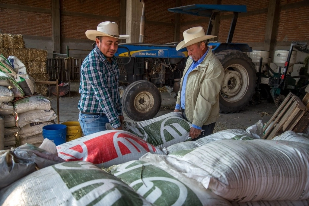 El programa de destinados a granos prioritarios se fue a agricultores dedicados a maíz, frijol, hortalizas y arroz, pero las cifras de resultados tuvieron discrepancias en cuanto a los indicadores de la cuenta pública ya que se presentaron como preliminares, por lo que “carecieron de confiabilidad”, expuso la ASF. Foto Cuartoscuro / Archivo