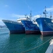 Inapesca hundirá a finales de marzo una de tres embarcaciones en desuso para crear arrecifes artificiales en Manzanillo. Foto tomada de Twitter @INAPESCAmx
