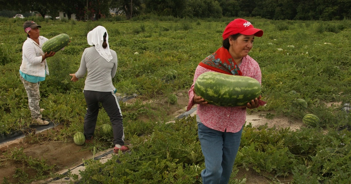 El Centro de Estudios Monetarios Latinoamericanos estima que 25 por ciento de las remesas que capta el país son por el trabajo de mexicanas en EU. Foto ‘La Jornada’
