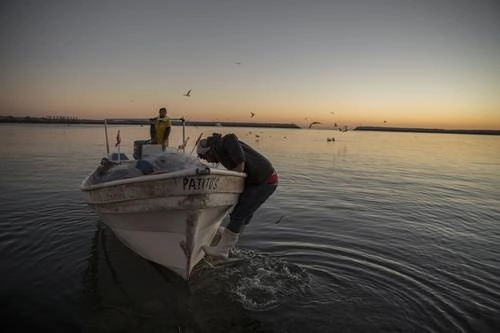 Pescadores de camarón de San Felipe, en Mexicali, Baja California, se alistan para iniciar su jornada, con las restricciones impuestas por las autoridades a fin de preservar a la vaquita marina, en peligro de extinción. Foto 'La Jornada Baja California'