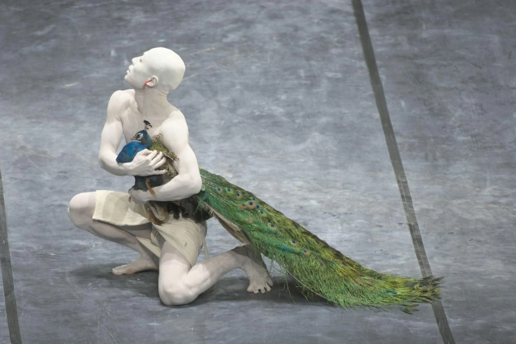 El bailarín Ichihara Akihito también es fundador del grupo ELF Dance Project. Foto cortesía de la Coordinación Nacional de Danza del Inbal