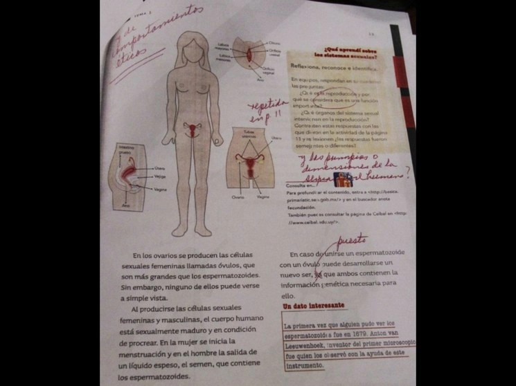 La acción contra el pin parental es promovida por legisladores de Aguascalientes al considerar que es contrario al derecho a la educación, consagrado en la Constitución federal, ya que limita el acceso a información a los niños. Foto Cuartoscuro / Archivo