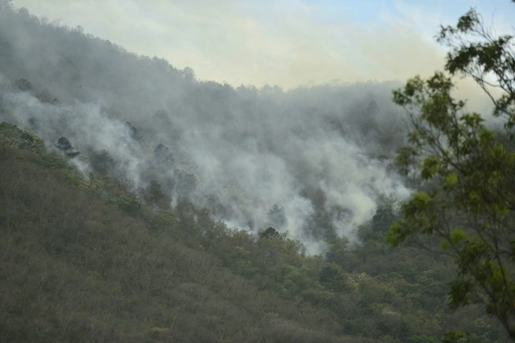 Actualmente la Secretaría de Protección Civil reporta al menos 16 incendios activos y 23 que ya han sido liquidados. Foto Cuartoscuro    