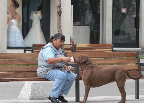 Trabajadora doméstica en la colonia Polanco. Foto Francisco Olvera