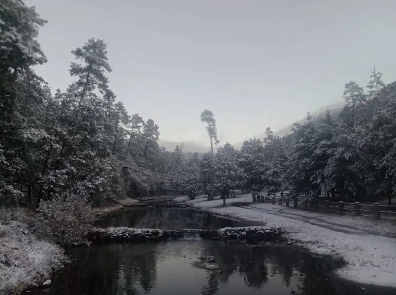 Aspecto del rancho La Manga, en el ejido El Largo, municipio de Madera, Chihuahua, donde las bajas temperaturas provocaron ayer la caída de nieve. Foto 'La Jornada' /Archivo