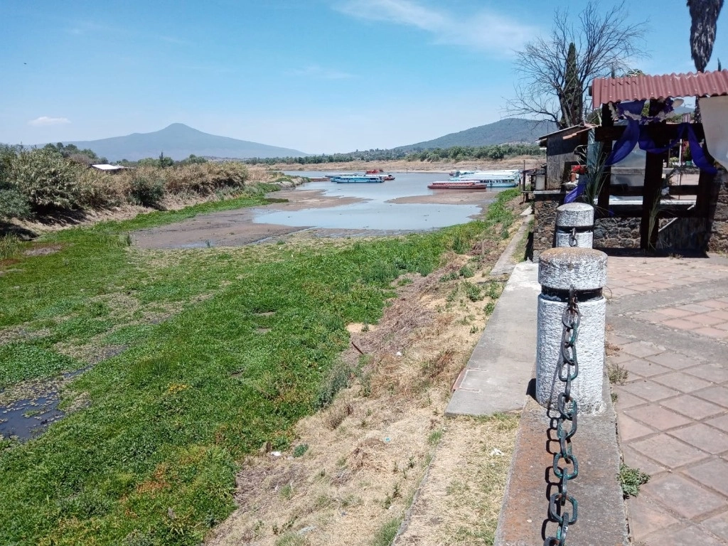 El lago de Pátzcuaro, en Michoacán, se ha secado a causa del severo estiaje y otros factores, como el saqueo del líquido por parte de productores de aguacate. Foto Ernesto Martínez 



