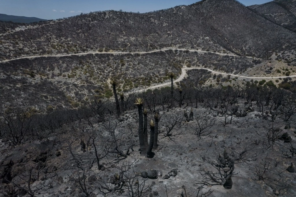 En zonas áridas de Michoacán el abastecimiento de agua es  principalmente a través de pozos y presas. Foto Cuartoscuro / Archivo   