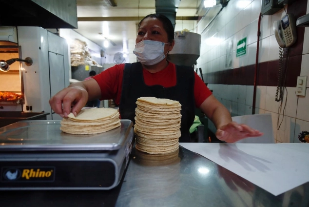 "En México hay tres grandes empresas que vende la harina del maíz, y está también todo el sector tradicional de la tortilla, que es el  que compra el maíz, hace el nixtamal, y luego esa masa se va a las tortillerías, y esa es la parte que ha perdido mucho, y que queremos recuperar", explicó la Presidenta. 