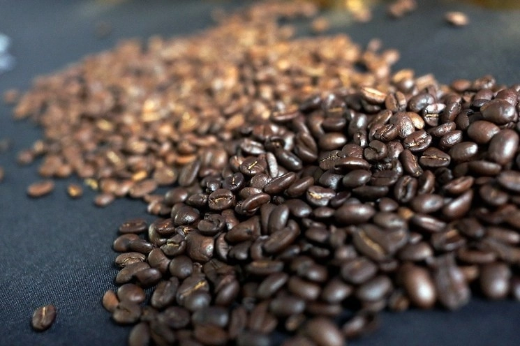 La Comisión Nacional para el Desarrollo de la Cafeticultura Mexicana se creará para tratar temas de los precios, productividad, arraigo y un programa de normalización. Foto Cuartoscuro