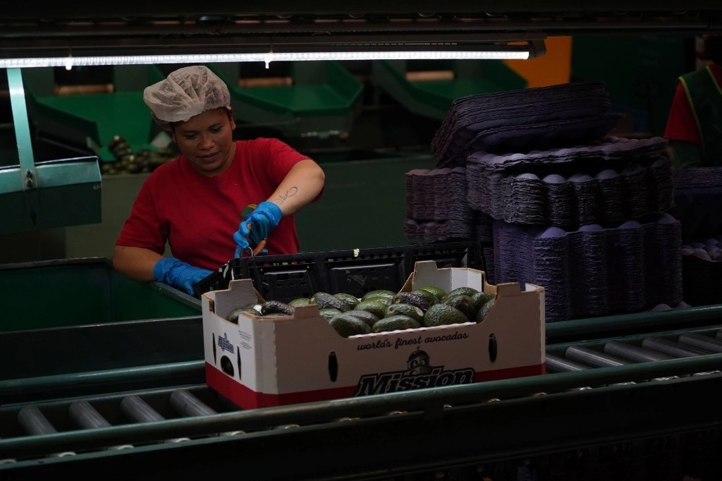 El reporte mensual sobre el comportamiento del empleo a nivel nacional, indica que en febrero se mantuvo la tendencia al alza en la cantidad de nuevas plazas, con 156 mil 403. Foto Cuartoscuro / Archivo 