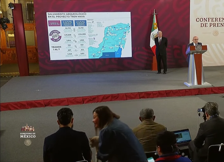 El felino fue sacado del Salón Tesorería, el 13 de julio de 2023. Imagen tomada de la transmisión en vivo