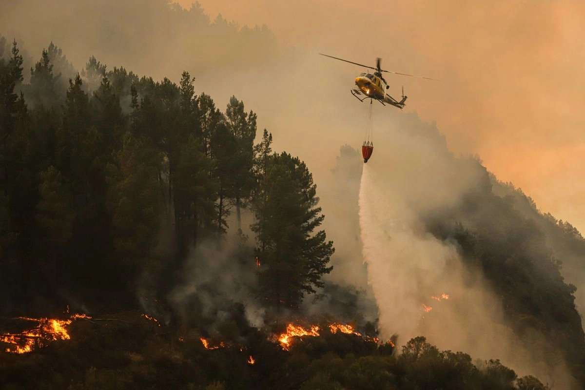 En España, son ya 400 mil hectáreas consumidas por incendios forestales, principalmente en regiones como Castilla y León, Galicia y Extremadura. Foto 