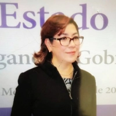 Josefina Román Vergara comisionada del Instituto Nacional de Transparencia, Acceso a la Información y Protección de Datos Personales. Foto @JosefinaRomanV
