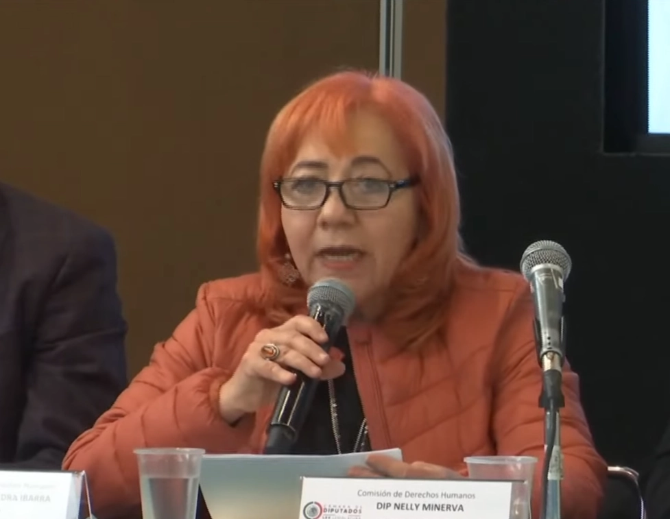 La presidenta de CNDH, Rosario Piedra Ibarra durante su comparecencia ante legisladores. Imagen tomada de la transmisión en vivo del evento
