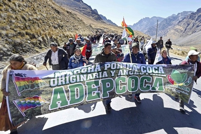 En la ciudad de La Paz opera desde hace casi medio siglo el mercado de Adepcoca, que comercializa de manera legal la hoja de coca. Foto Afp