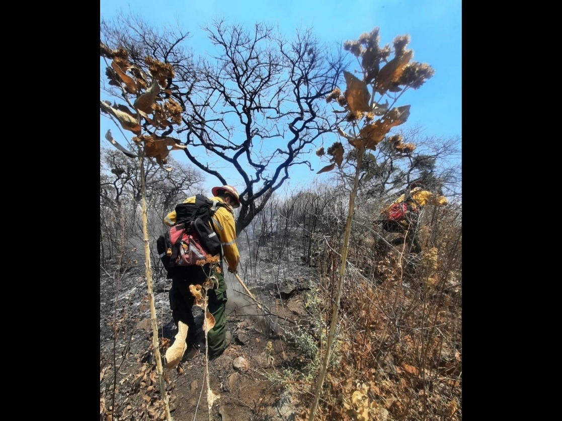 Brigadistas combaten un incendio registrado en el paraje Santiaguito, El Arenal, Jalisco, el 18 de abril de 2022. Foto tomada del Twitter de @SemadetJal